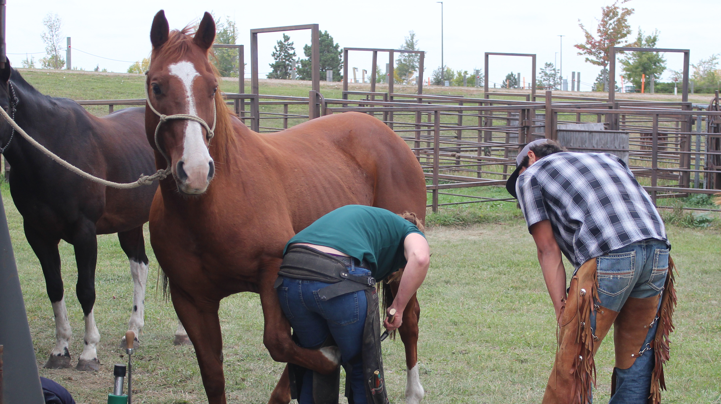 Horsmanship