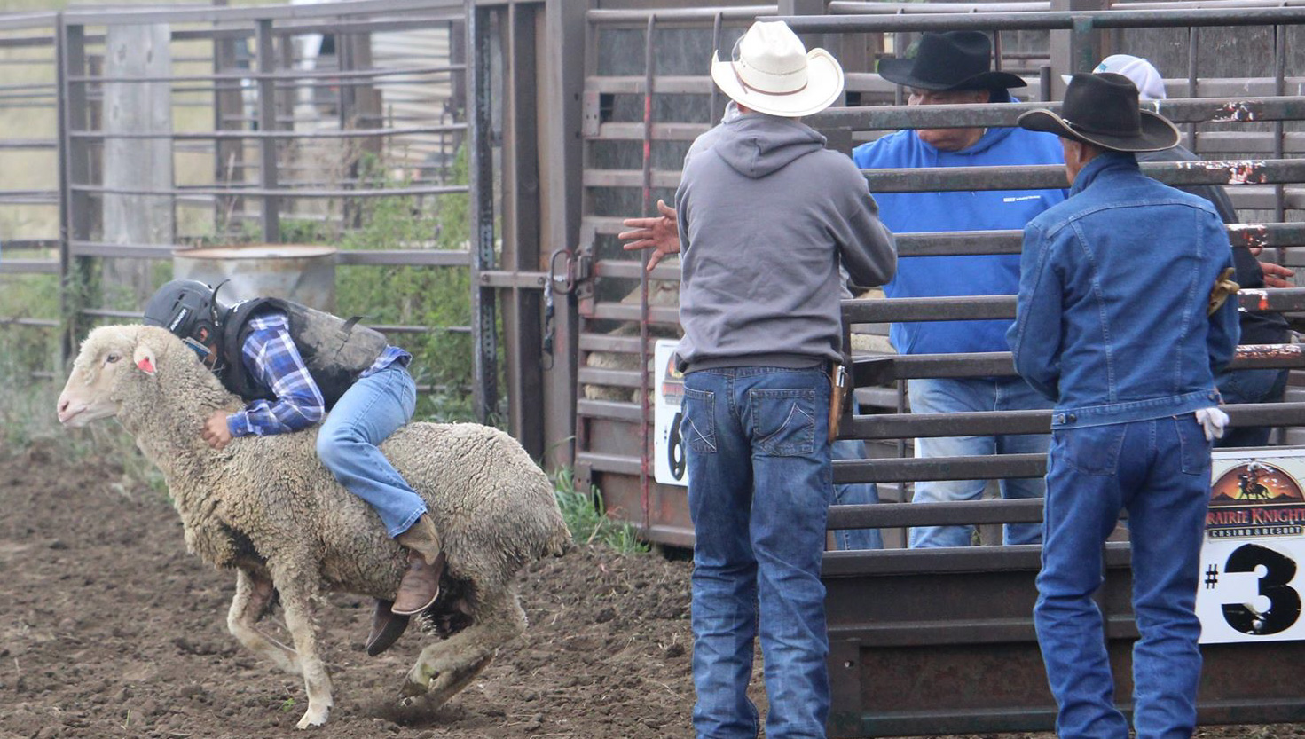 horsemanship - rodeo